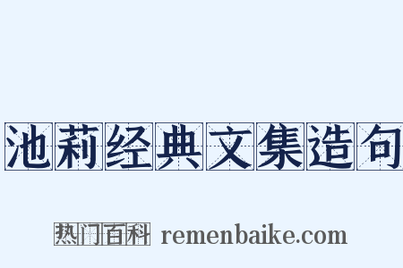 池莉经典文集造句是什么意思的图片